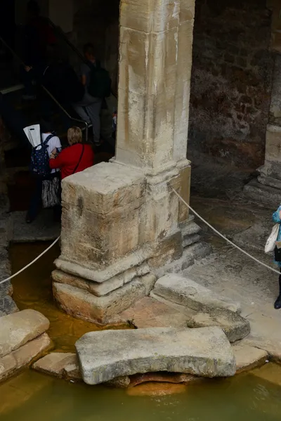 DSC_2626 (Large).JPG